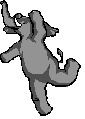 /user/dancing_elephant.gif
